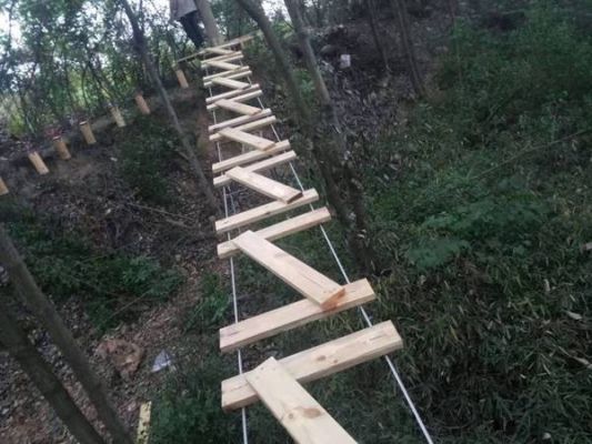 丛林穿越